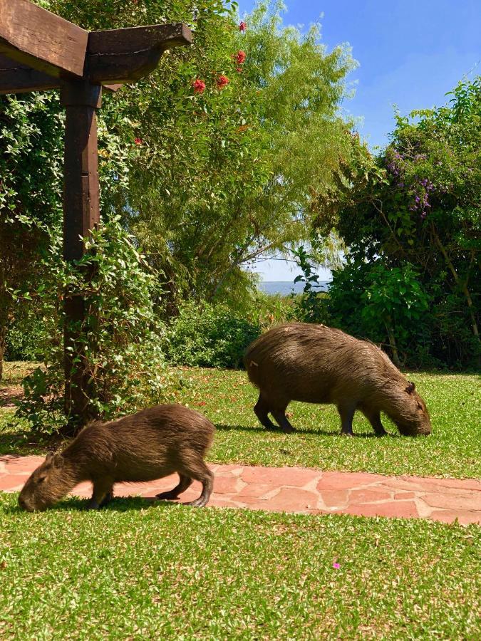 Posada Che Teindy Colonia Carlos Pellegrini  Ngoại thất bức ảnh