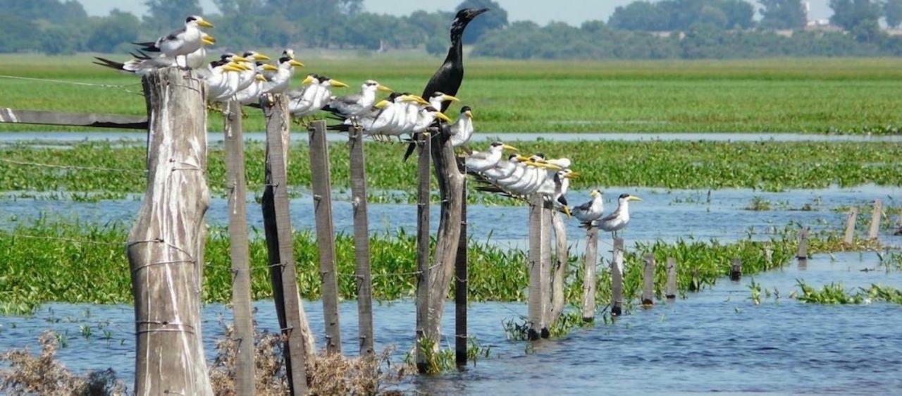 Posada Che Teindy Colonia Carlos Pellegrini  Ngoại thất bức ảnh